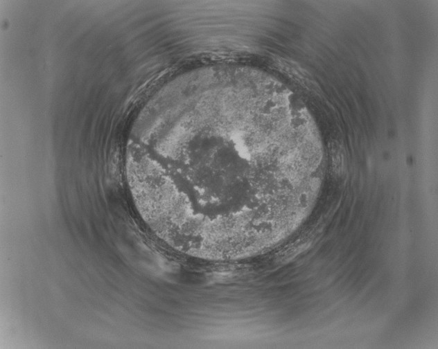 X0000069381060200606021601