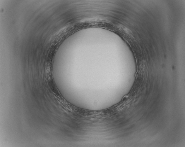 X0000069381062200606021601