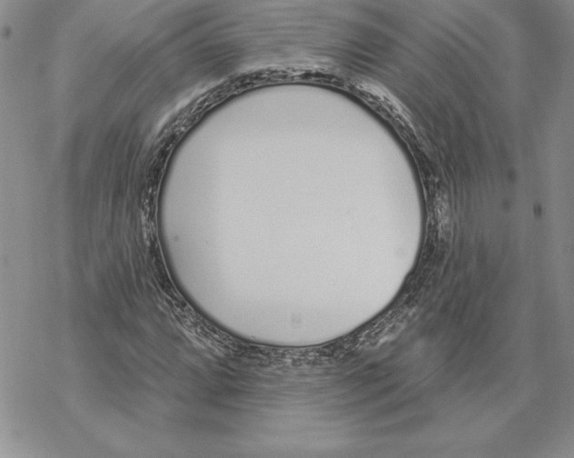 X0000069381064200606021601