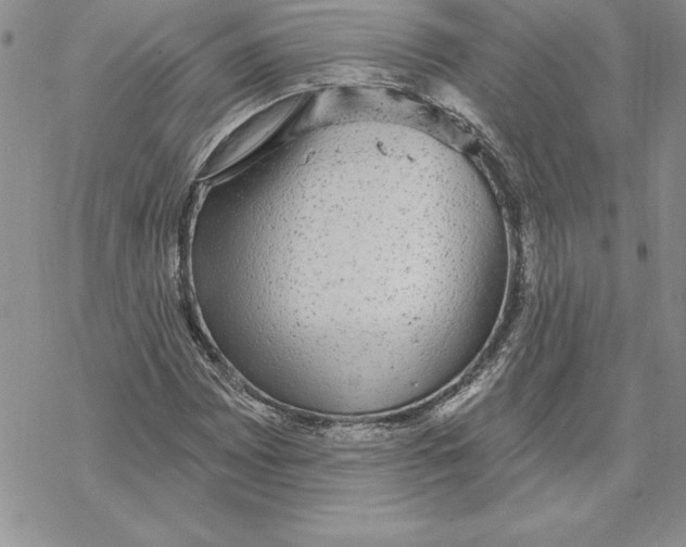 X0000069381065200606021601