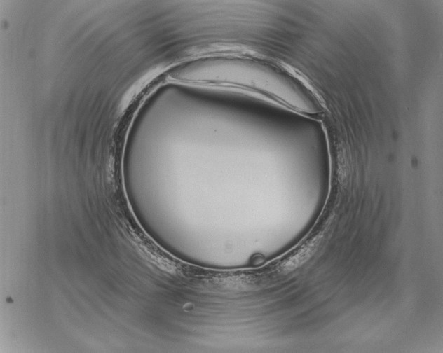 X0000069381066200606021601