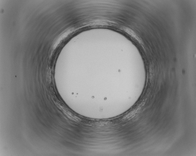 X0000069381067200606021601