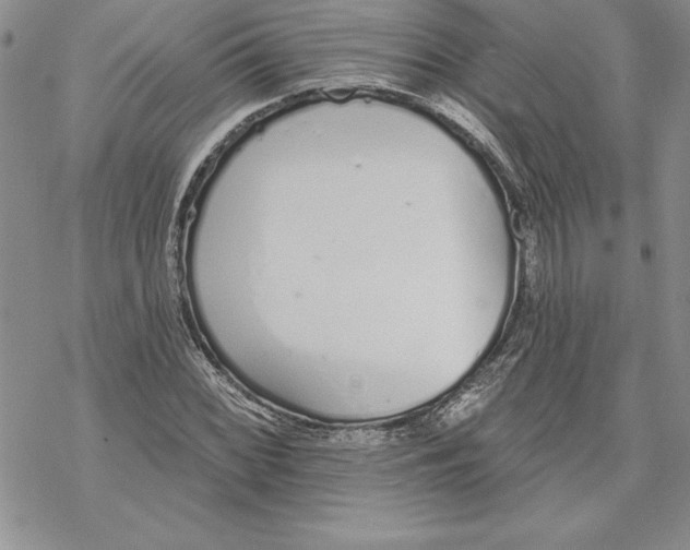 X0000069381068200606021601