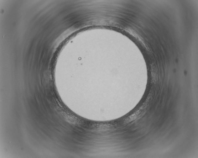 X0000069381070200606021601