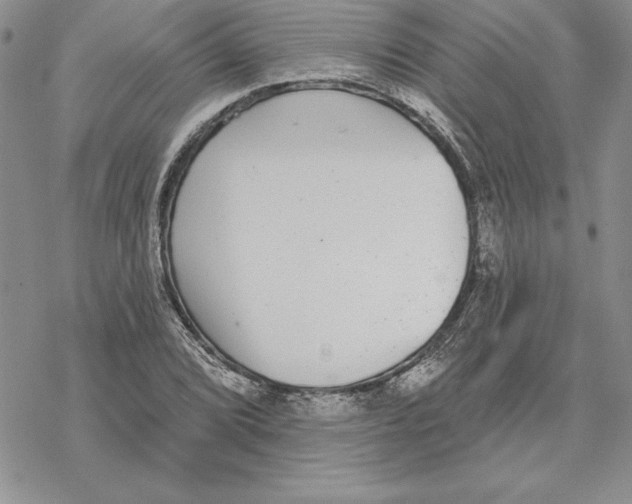 X0000069381072200606021601