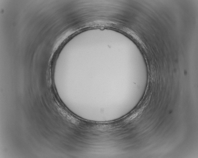 X0000069381075200606021601