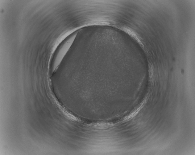 X0000069381077200606021601