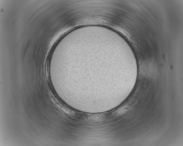 X0000069381078200606021601