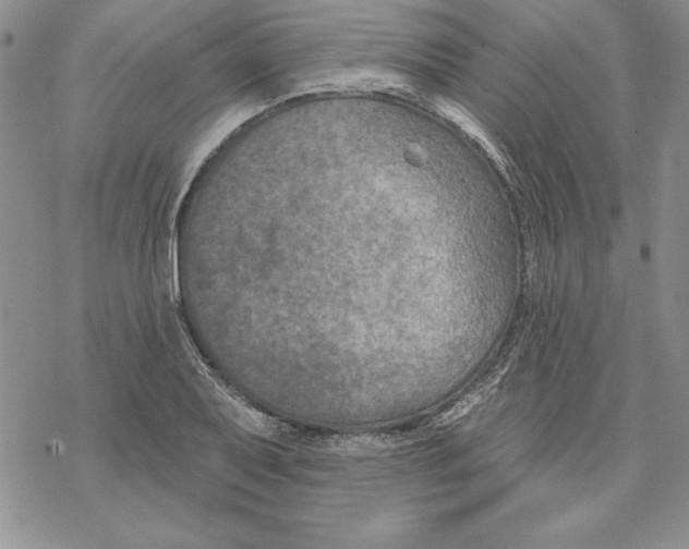 X0000069381079200606021601