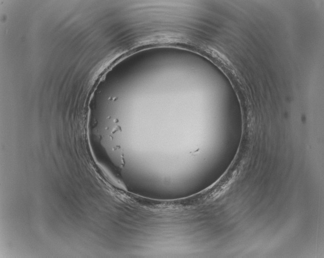 X0000069381081200606021601