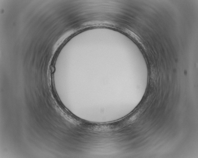 X0000069381082200606021601