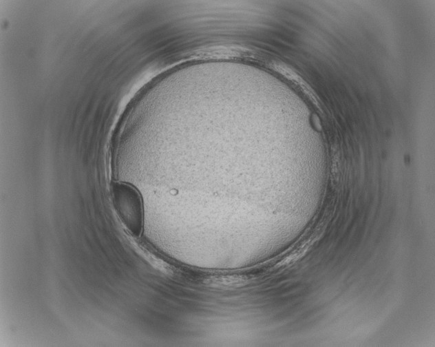 X0000069381083200606021601