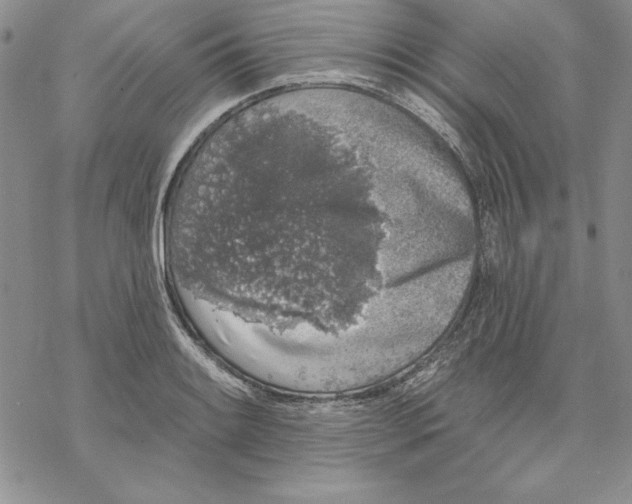 X0000069381084200606021601