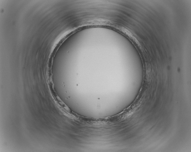 X0000069381085200606021601