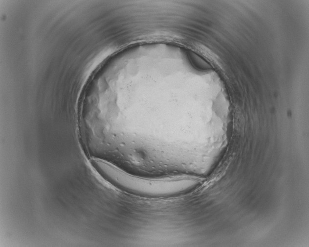 X0000069381087200606021601