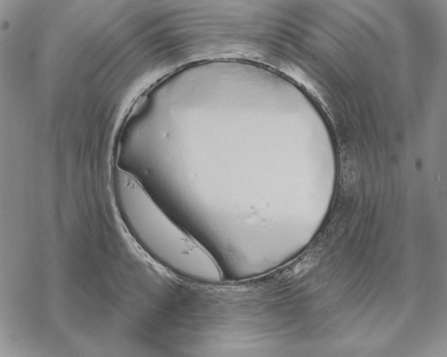 X0000069381088200606021601