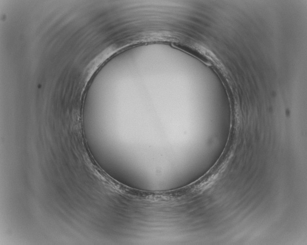 X0000069381089200606021601