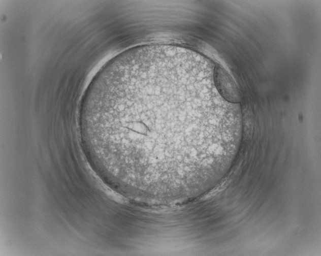 X0000069381091200606021601