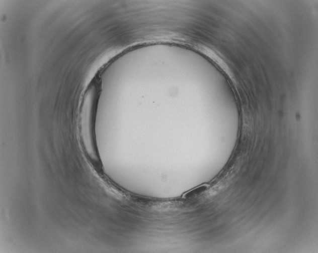 X0000069381093200606021600