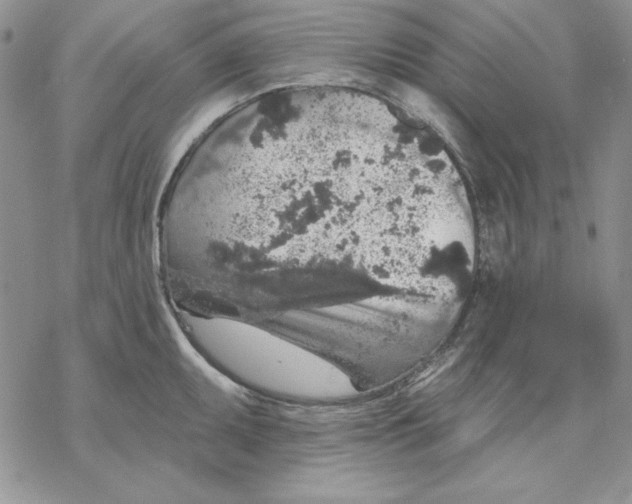 X0000069381095200606021600