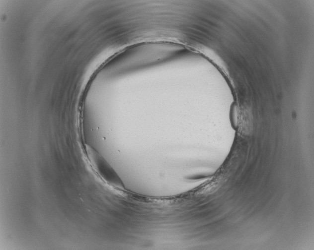 X0000069381096200606021600