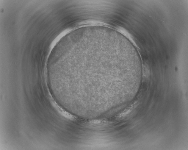 X0000069381098200606021600