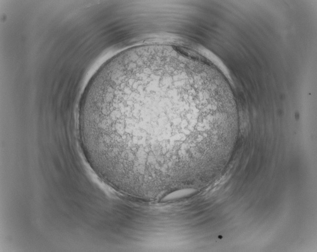 X0000069381099200606021600