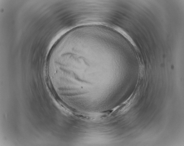 X0000069381101200606021600