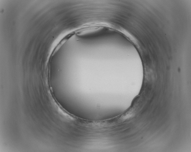 X0000069381102200606021600