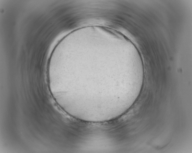 X0000069381104200606021600