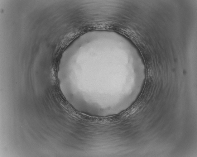 X0000069381106200606021600