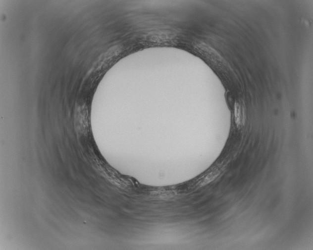 X0000069381107200606021600