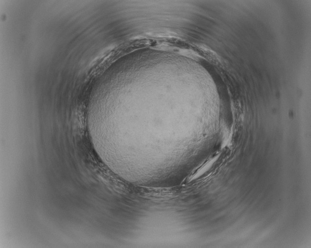 X0000069381110200606021600