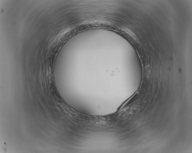 X0000069381111200606021600