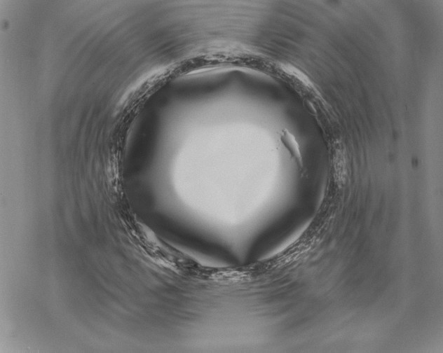 X0000069381112200606021600