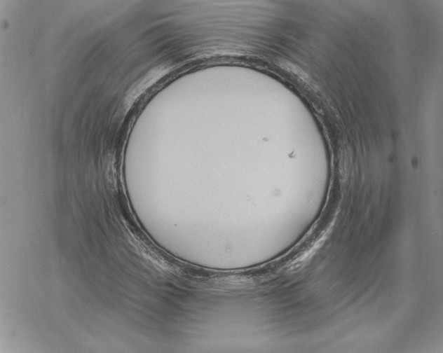 X0000069381113200606021600