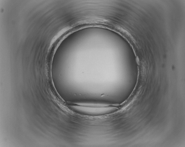 X0000069381114200606021600