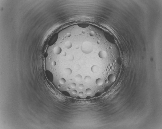 X0000069381115200606021600