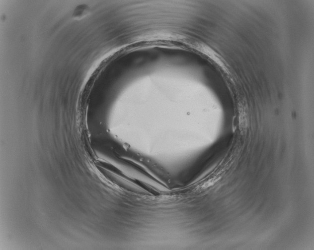 X0000069381116200606021600