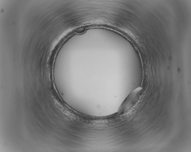 X0000069381118200606021600