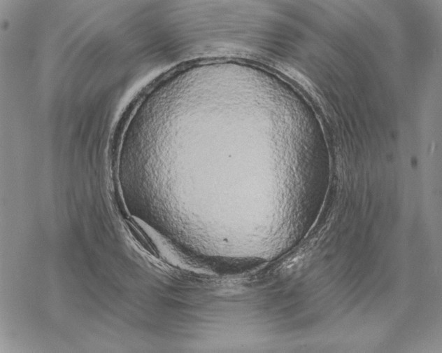 X0000069381120200606021600