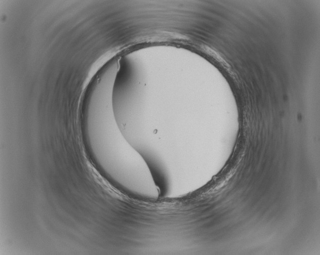 X0000069381122200606021600