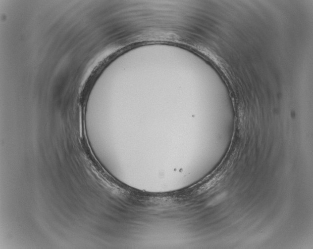 X0000069381123200606021600