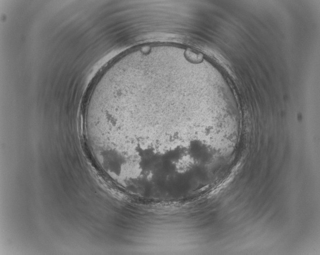 X0000069381125200606021600