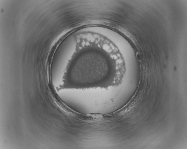 X0000069381127200606021600