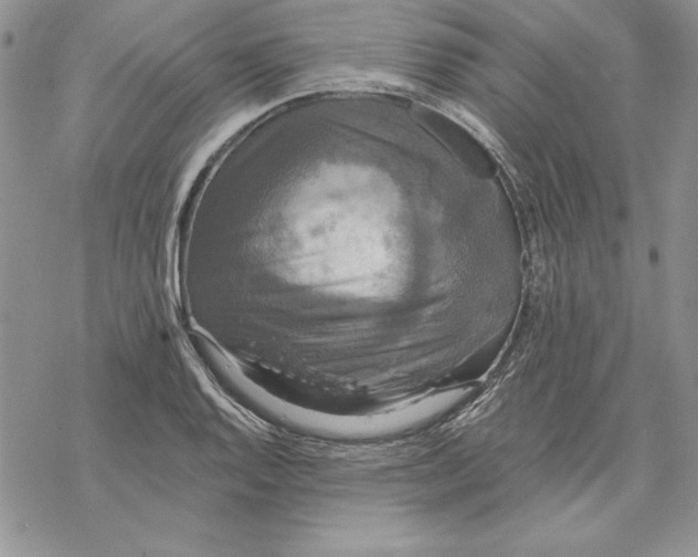 X0000069381128200606021600