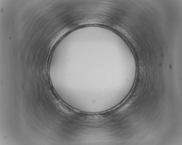 X0000069381129200606021600