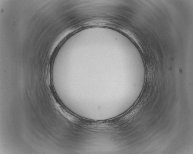 X0000069381131200606021600