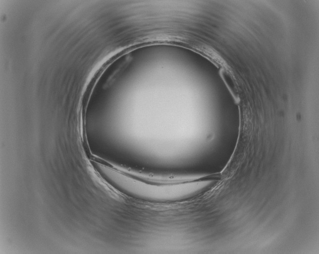 X0000069381132200606021600