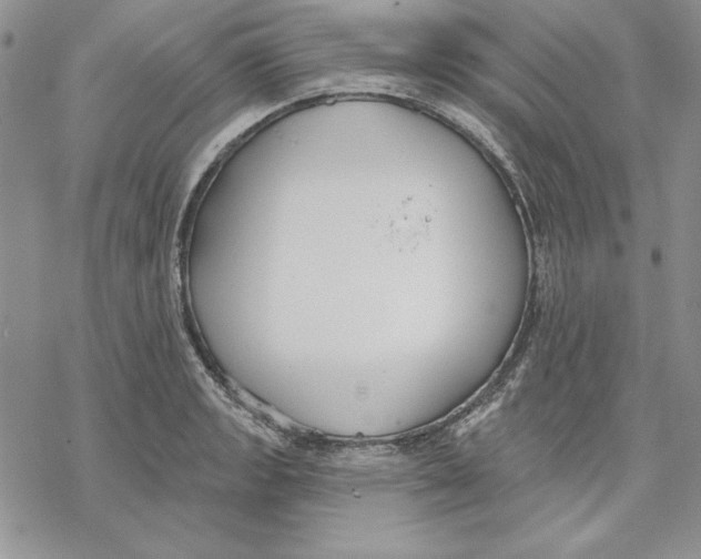 X0000069381133200606021600